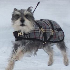 Foggy Mountain Dog Coat